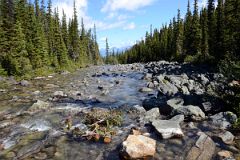 08 Cavell Creek From Bridge At End Of Cavell Lake.jpg